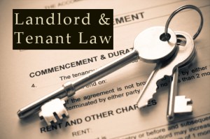 landlord-tenant