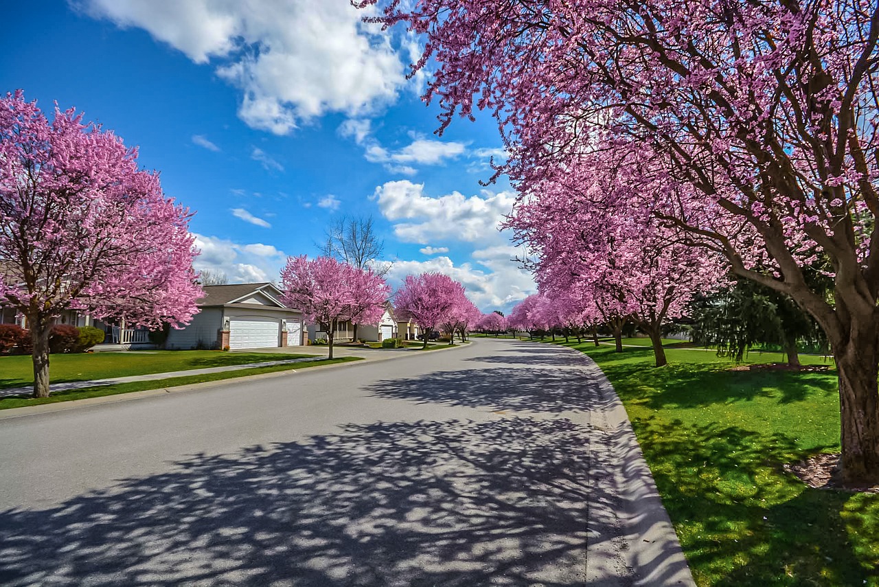 Blog Image, Spring Homebuying, May 2019